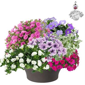 Bild von HP30 XXL Mix 07